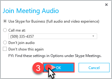 skype for business share audio